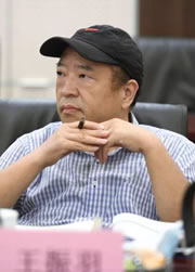 王振羽